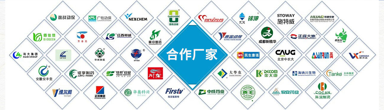 ��˾����